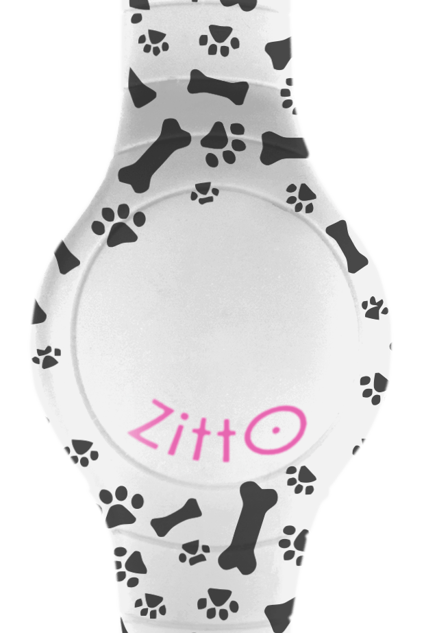 ZITTO - ZITTO